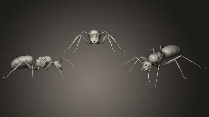 Насекомые (Жуки-насекомые 9, INSCT_0042) 3D модель для ЧПУ станка